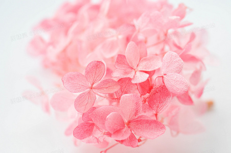 特工对决黑客帝国：猛龙行动之绝密代码科技战场全揭秘