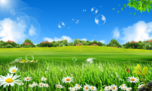 贞子起源故事：午夜凶铃前传剧集免费观看指南