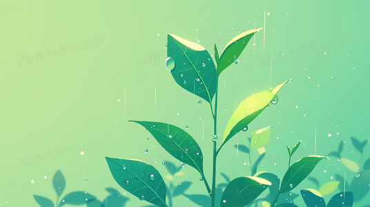 观众热议：近战法师第二季可能的播出平台与时间